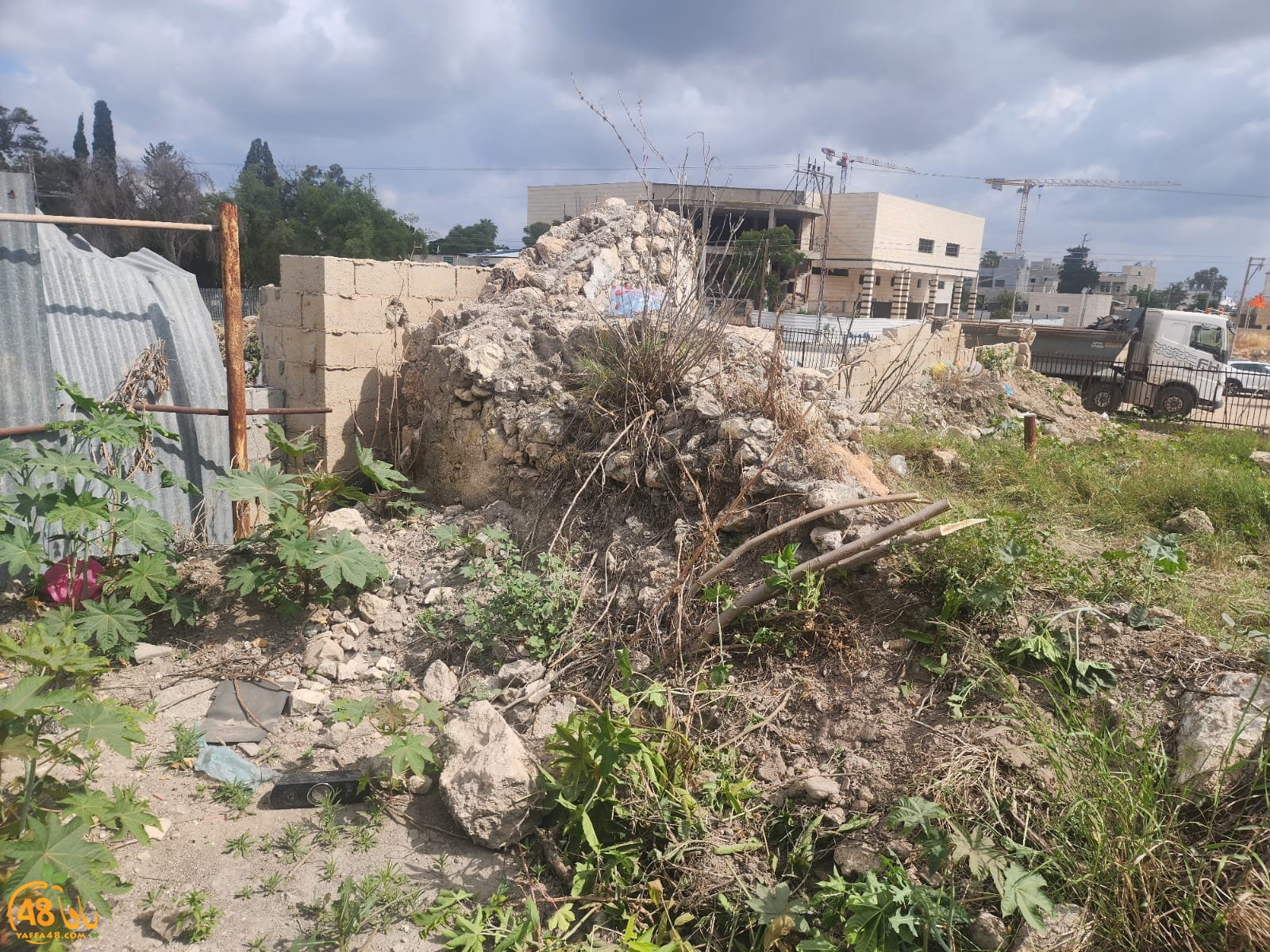 WhatsApp Image 2023-05-20 at 9.50.06 AM (1).jpeg